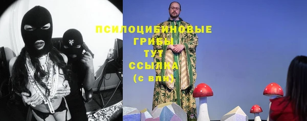 меф Белокуриха