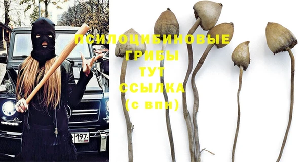 меф Белокуриха